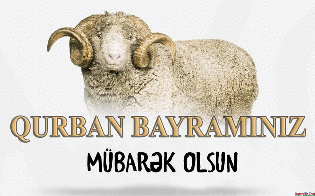 Qurban bayramınız mübarək olsun, inşallah gözəl günlərin xəbərçisi olsun.
