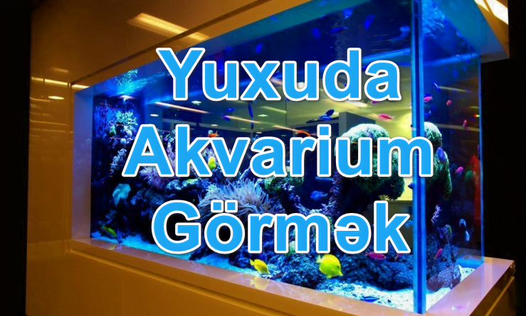 Yuxuda Akvarium Görmək Yozması Nədir