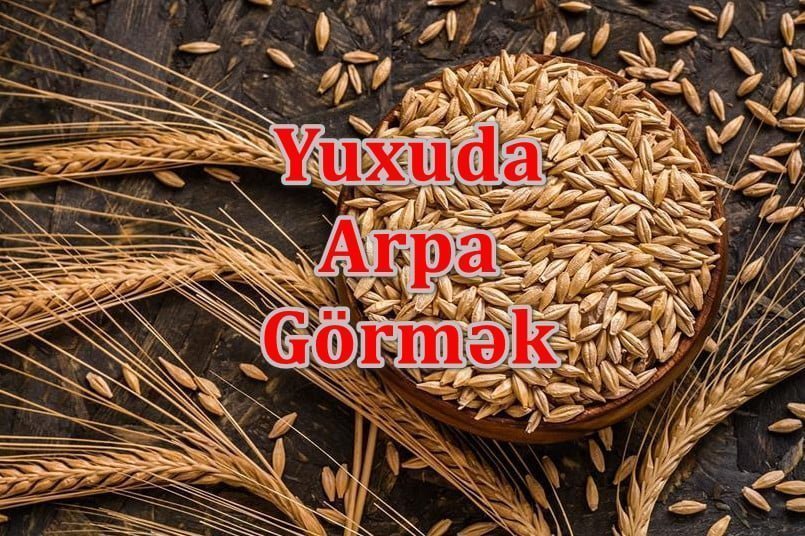 Yuxuda Arpa Görmək Nə Deməkdir - Yozması Nədir