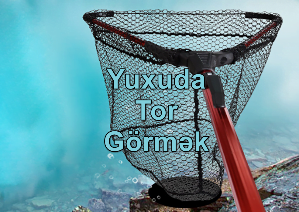 Yuxuda Tor Görmək Yozması Nədir