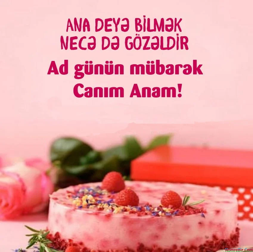 anaya aid ad gunu tebrikleri uzun