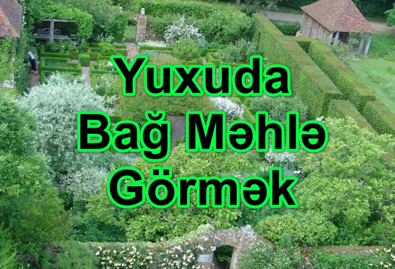 Yuxuda Bağ Məhlə Görmək Yozması Nədir?