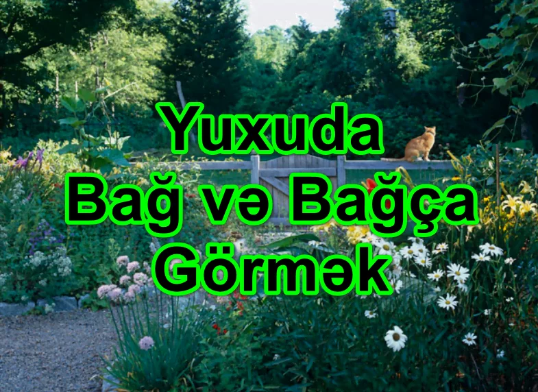 Yuxuda Bağ və Bağça Görmək Yozması Nədir?