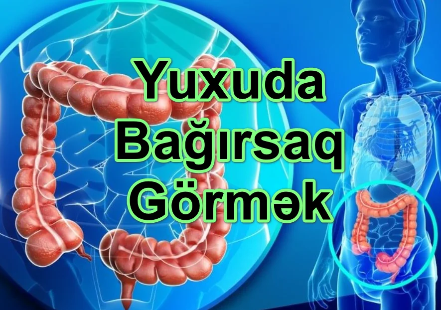 Yuxuda Bağırsaq Görmək Yozması Nədir?