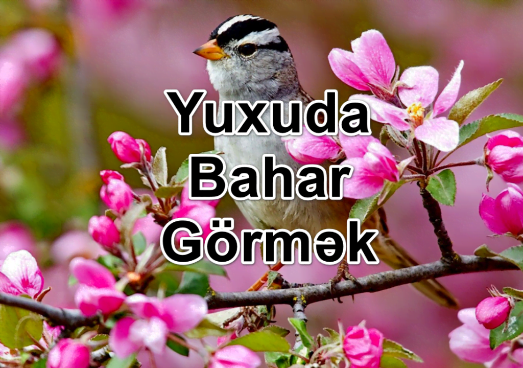 Yuxuda Bahar Görmək Yozması Nədir?