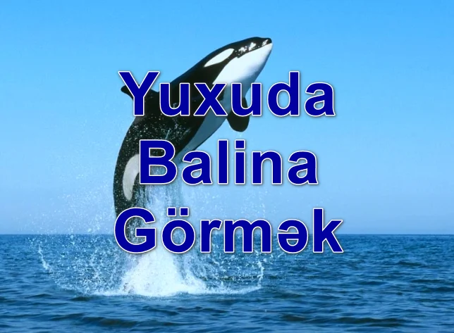 Yuxuda Balina Görmək Yozması Nədir?