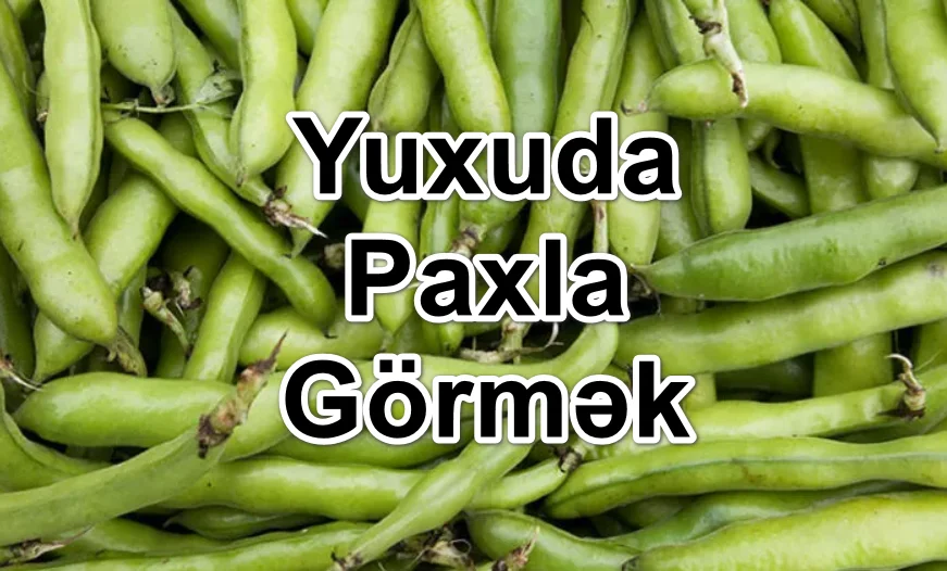Yuxuda Paxla Görmək Yozması Nədir?