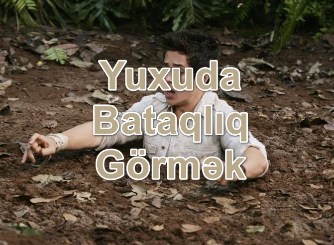 Yuxuda Bataqlıq Görmək Yozması Nədir?