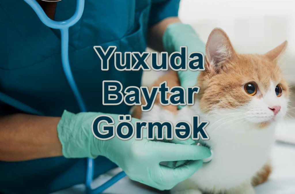 Yuxuda Baytar Görmək Yozması Nədir?