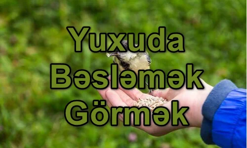 Yuxuda Bəsləmək Görmək Yozması Nədir?