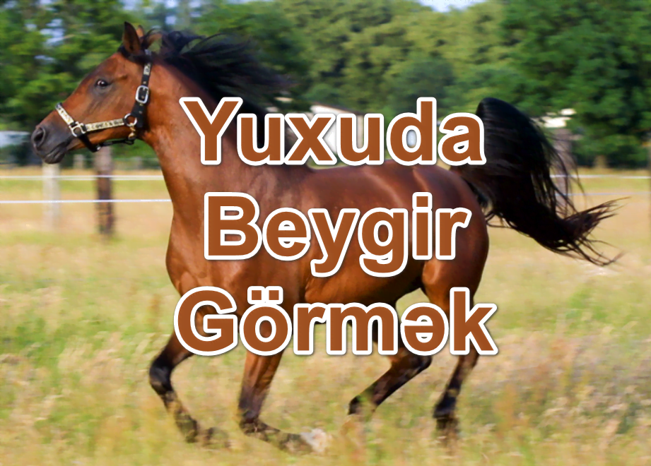 Yuxuda Beygir Görmək Yozması Nədir?