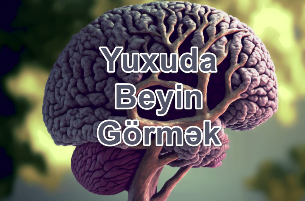 Yuxuda Beyin Görmək Yozması Nədir?