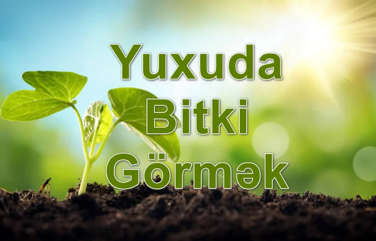 Yuxuda Bitki Görmək Yozması Nədir?