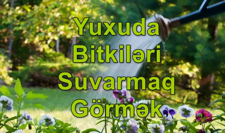 Yuxuda Bitkiləri Suvarmaq Görmək Yozması Nədir?