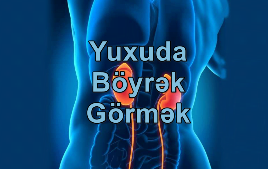 Yuxuda Böyrək Görmək Yozması Nədir?