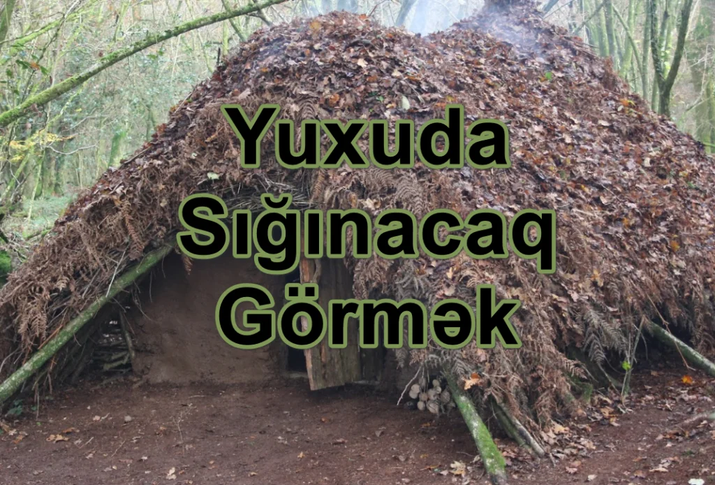 Yuxuda Sığınacaq Görmək Yozması Nədir?