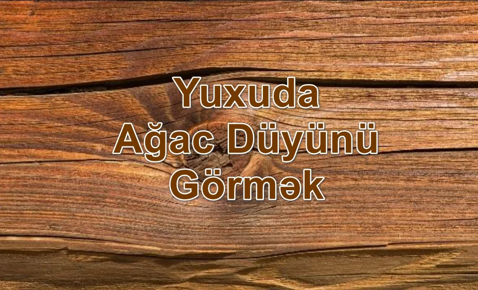 Yuxuda Ağac Düyünü Görmək Yozması Nədir