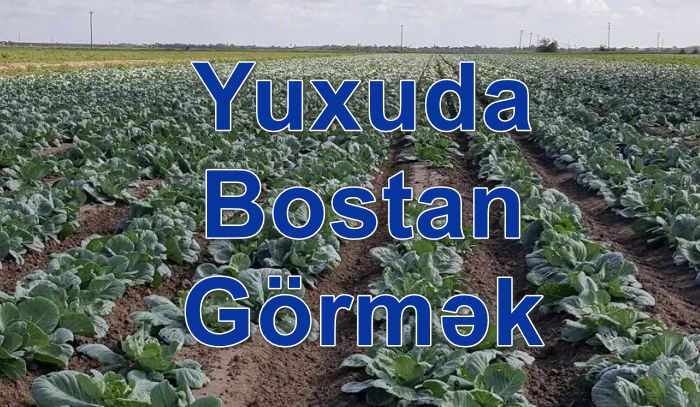 Yuxuda Bostan Görmək Yozması Nədir