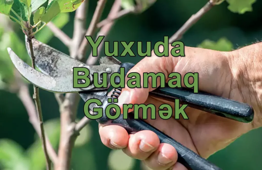 yuxuda budaq budamaq gormeyin yozmasi nedir