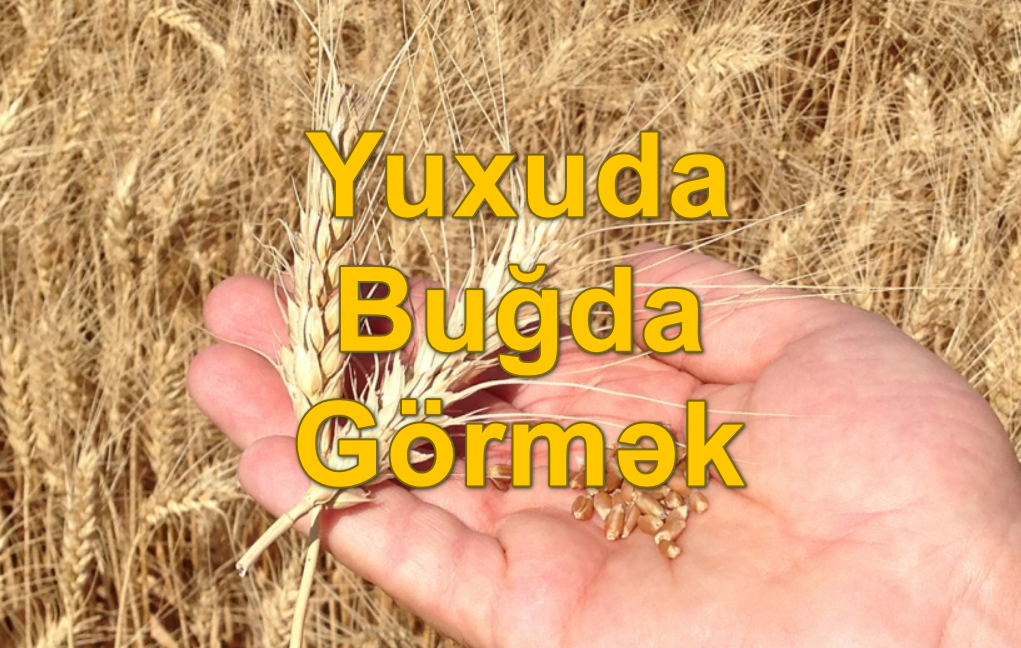 yuxuda bugda gormek yozmasi nedir ne demekdir