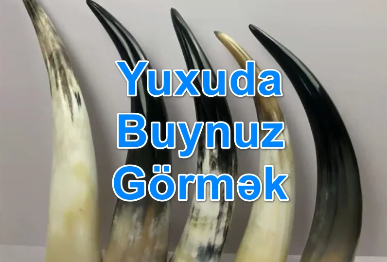 yuxuda buynuz gormek yozması nedir