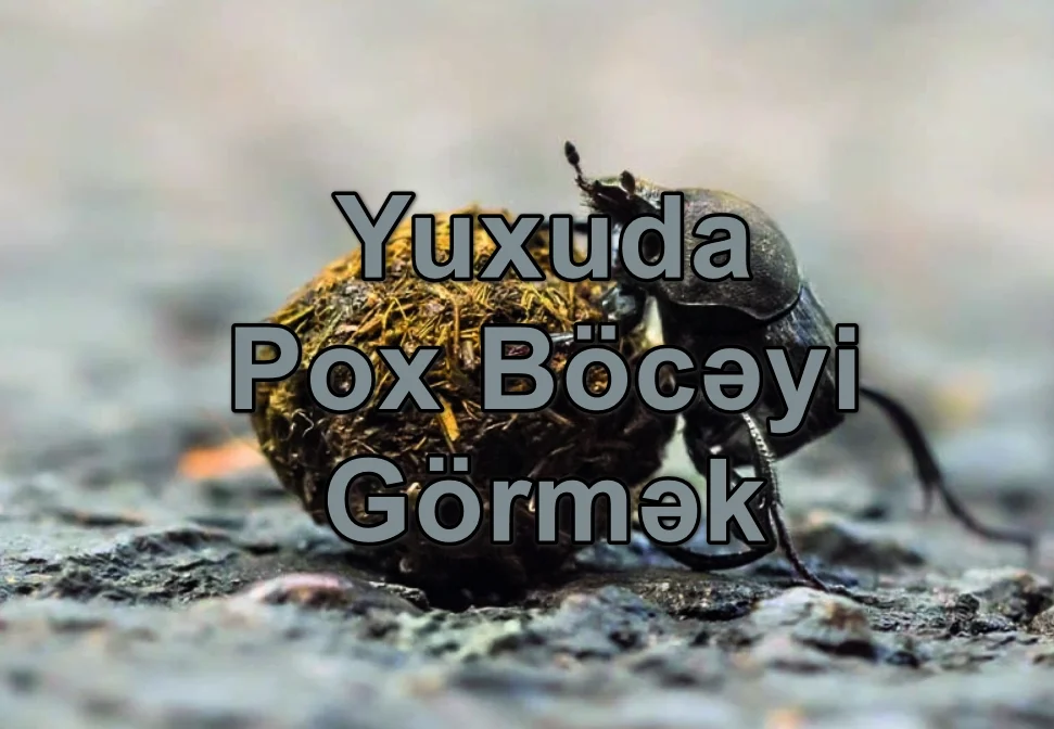 yuxuda pox boceyi gormek yozmasi nedir