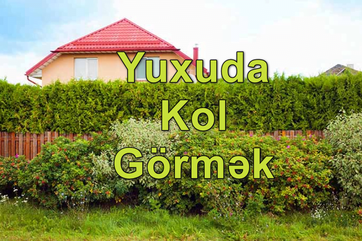 Yuxuda Kol Görmək Yozması Nədir