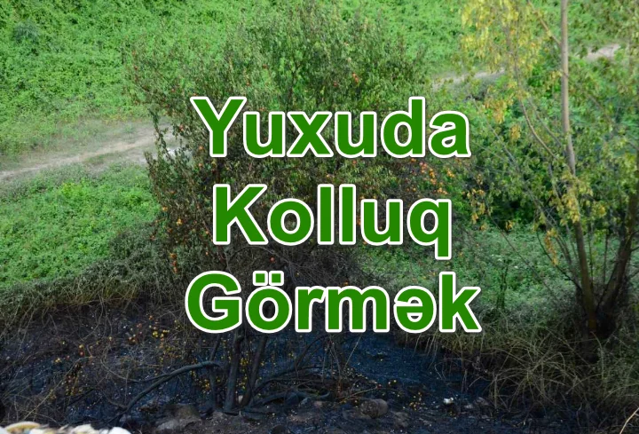 Yuxuda Kolluq Görmək Yozması Nədir