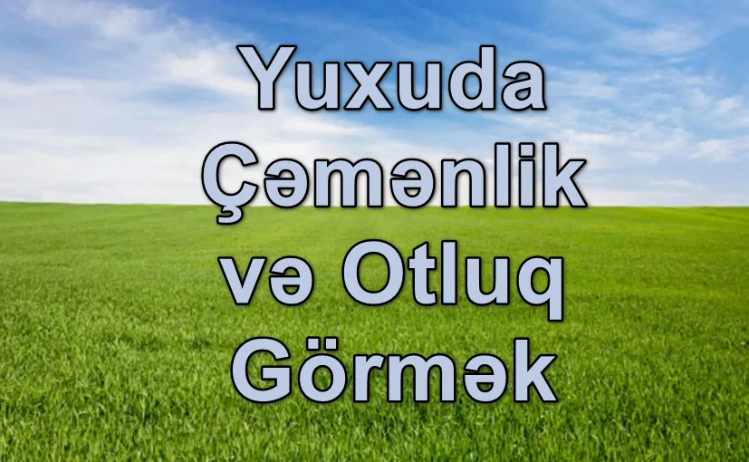 Yuxuda Çəmənlik və Otluq Görmək Yozması Nədir