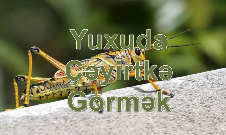 Yuxuda Çəyirtkə Görmək Yozması Nədir