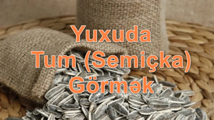 Yuxuda Tum (Semiçka) Görmək Yozması Nədir