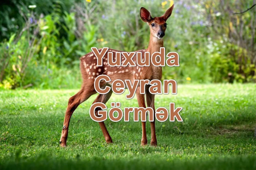 Yuxuda Ceyran Görmək Yozması Nədir