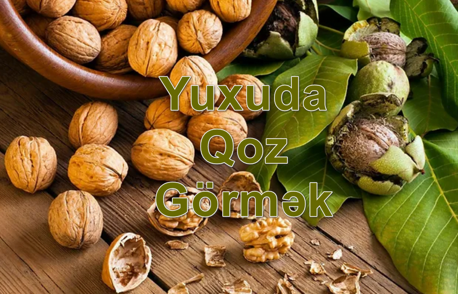 Yuxuda Qoz Görmək Yozması