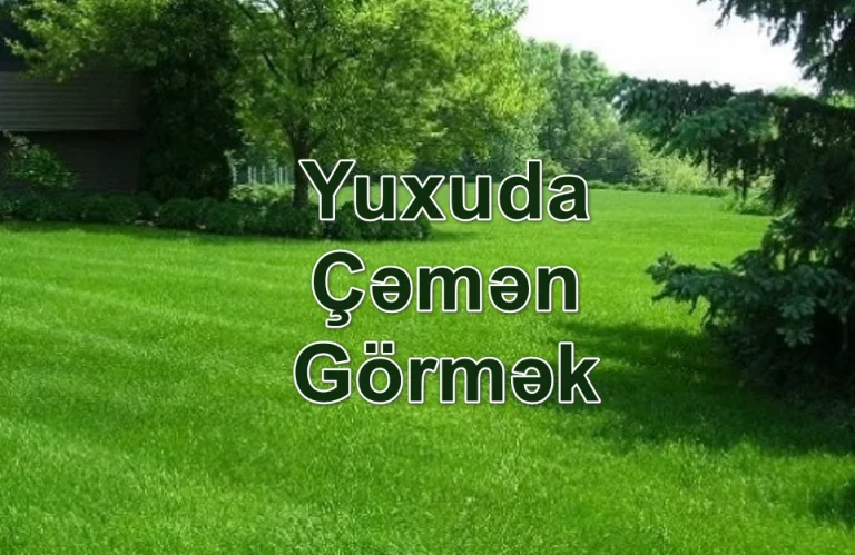 Yuxuda Çəmən Görmək Yozması Nədir