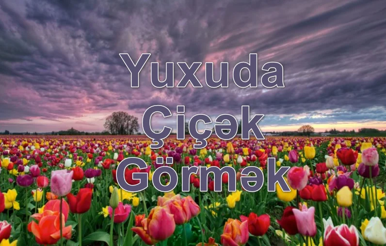Yuxuda Çiçək Görmək Yozması Nədir