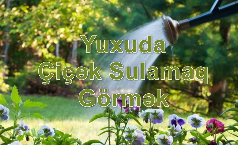Yuxuda Çiçək Sulamaq Görmək Yozması Nədir