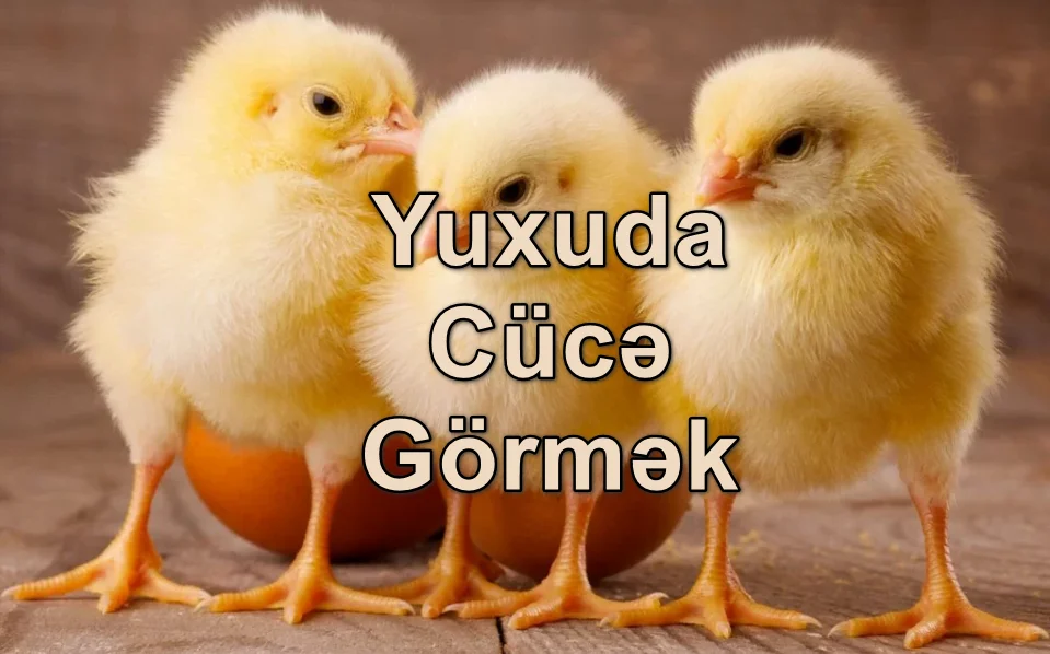 Yuxuda Cücə Görmək Yozması Nədir