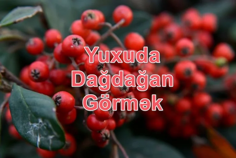 Yuxuda Dağdağan Görmək Yozması Nədir