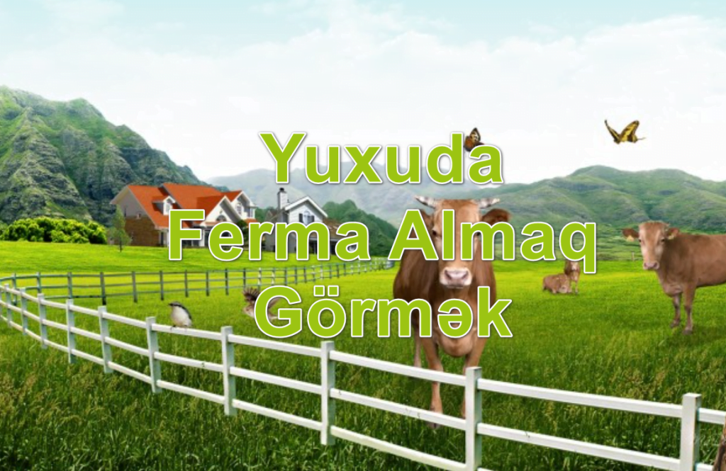 Yuxuda Ferma Almaq Görmək Yozması Nədir