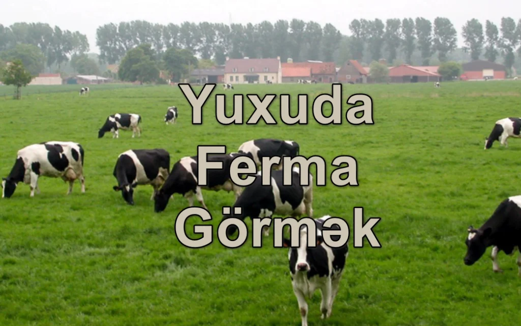Yuxuda Ferma Görmək Yozması Nədir