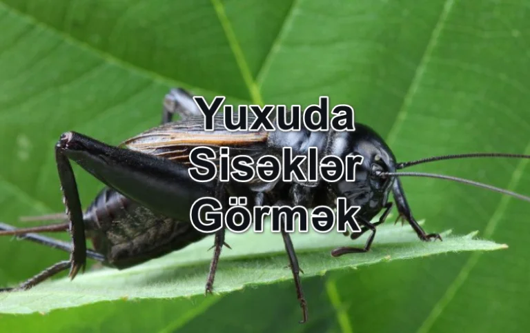 Yuxuda Sisəklər Görmək Yozması Nədir