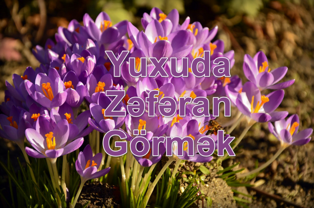 Yuxuda Zəfəran Görmək Yozması Nədir