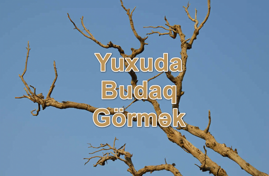 Yuxuda Budaq Görmək Yozması Nədir