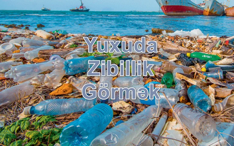 Yuxuda Zibillik Görmək Yozması Nədir