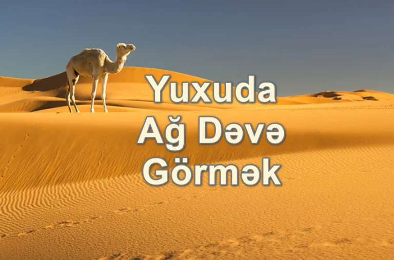 Yuxuda Ağ Dəvə Görmək Nə Deməkdir