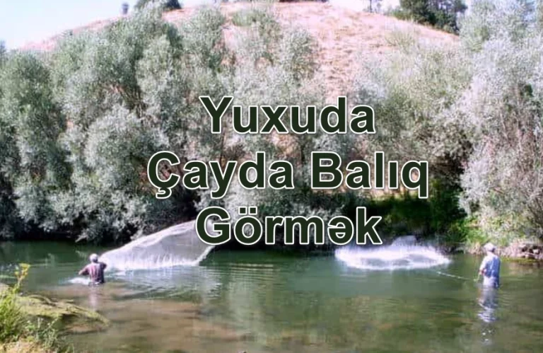 Yuxuda Çayda Balıq Görmək Nə Deməkdir