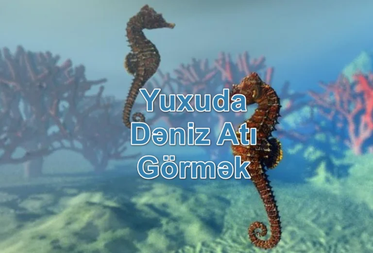 Yuxuda Dəniz Atı Görmək Nə Deməkdir