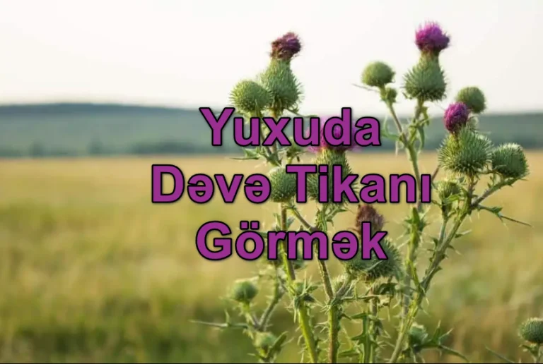 Yuxuda Dəvə Tikanı Görmək Nə Deməkdir