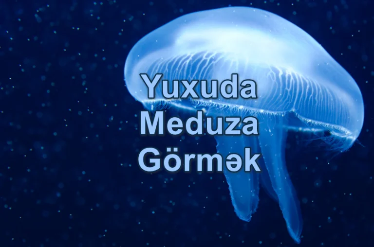 Yuxuda Meduza Görmək Nə Deməkdir