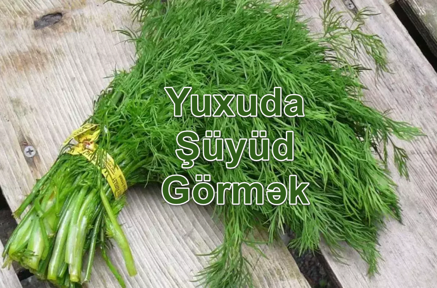 Yuxuda Şüyüd Görmək Nə Deməkdir